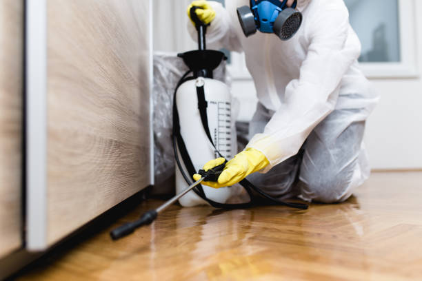 Best Bed Bug Extermination  in Edmundson, MO