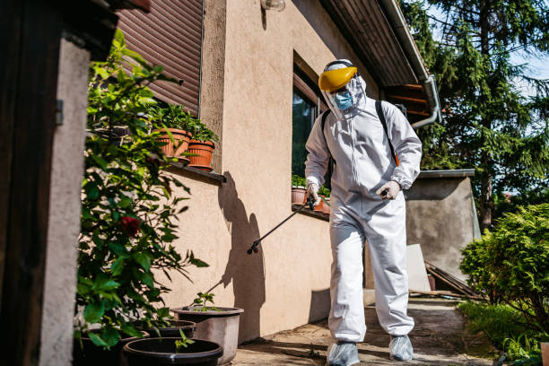 Professional Pest Control in Edmundson, MO