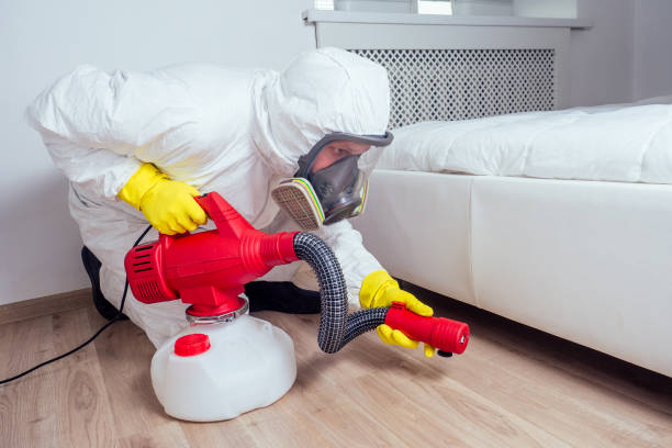 Best Affordable Pest Control Services  in Edmundson, MO