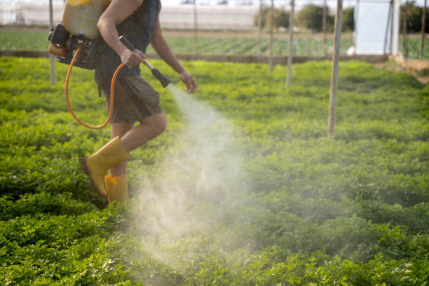 Best Residential Pest Control  in Edmundson, MO