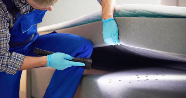 Best Commercial Pest Control Services  in Edmundson, MO