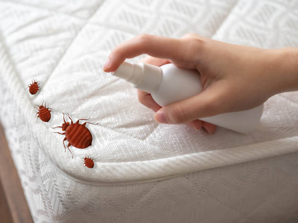Best Pest Inspection Near Me  in Edmundson, MO
