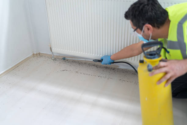 Best Affordable Pest Control Services  in Edmundson, MO