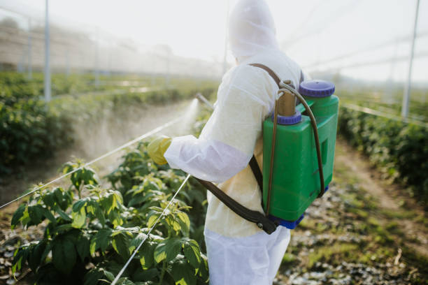 Best Best Pest Control Companies  in Edmundson, MO